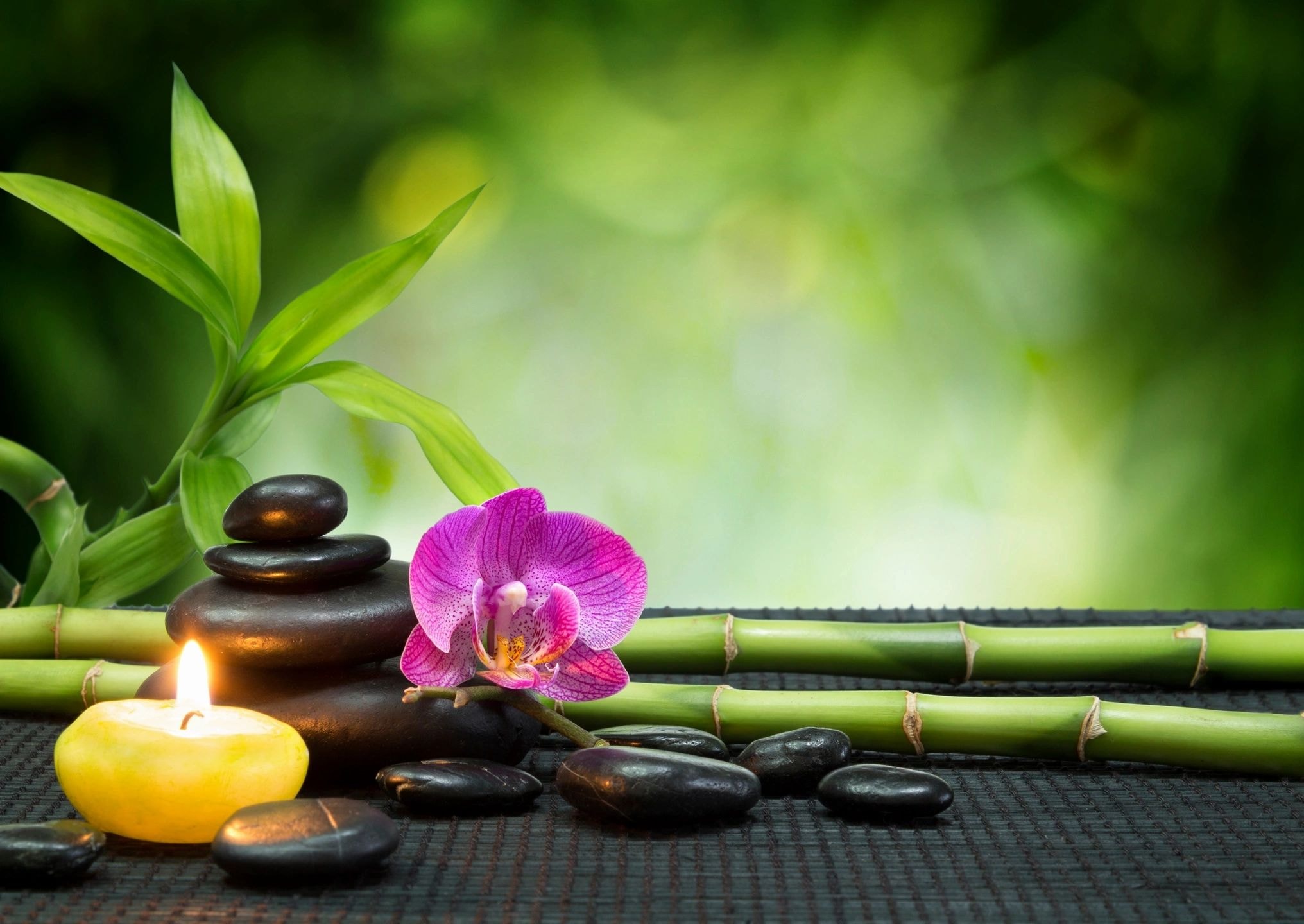 Spa wellness arrangement with candle, orchid and bamboo